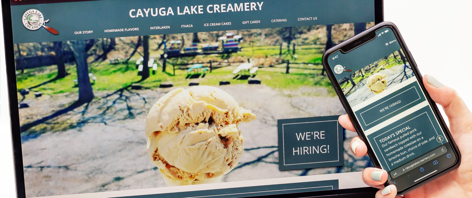 Cayuga Lake Creamery News Website Launch