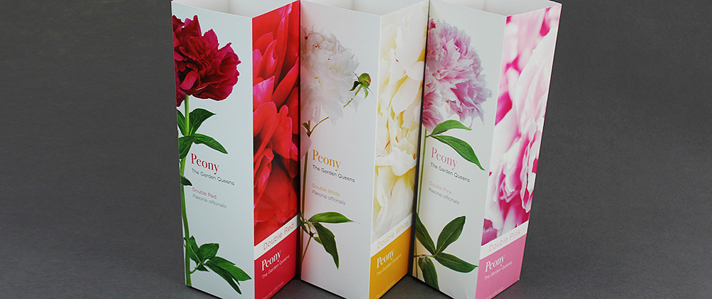 garden galleries peony packaging